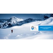 Blue Frost Security GmbH Logo