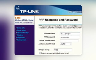 Chudovo OÜ Project - Webinterface voor TP-Link-switches