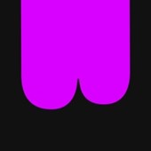 Big Neurons