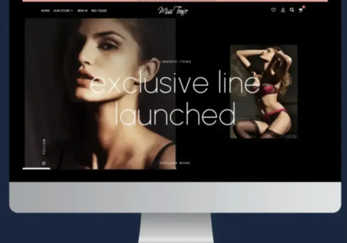 AGENTIE SEO PRO Project -