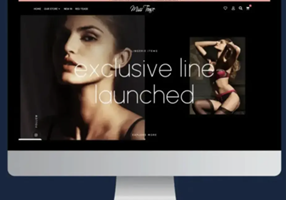 AGENTIE SEO PRO Project -