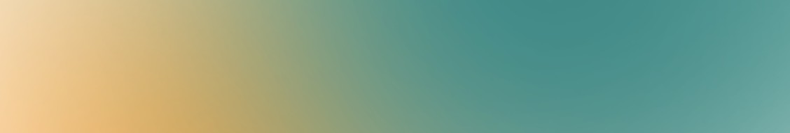 Shopwise GmbH Headerbild