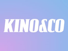 eology GmbH Project - SEO-consulting voor kinoundco.de