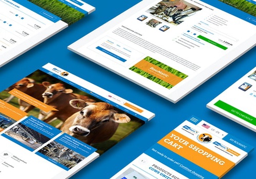 WHITE Digital Agency Project - Wereldwijde website met B2B-webshop - Boumatic