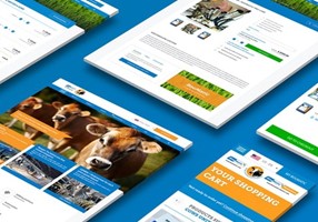 WHITE Digital Agency Project - Wereldwijde website met B2B-webshop - Boumatic