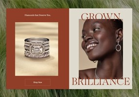 Zerotrillion Project - Grown Brilliance - Diamanten die jou verdienen