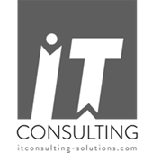 IT CONSULTING Logo
