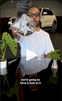BFG Nitro - TikTok Agentur Project - TikTok-beïnvloeding-campagne