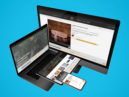 PulseConnect UG Project - Shopify-winkel opzetten & SEO-optimalisatie