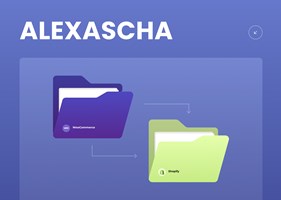 Dinarys GmbH Project - WooCommerce → Shopify-migratie