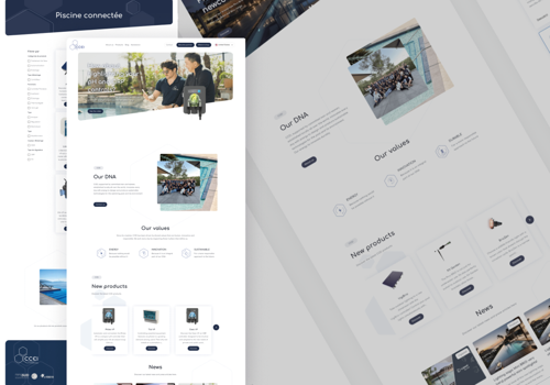 Smotly Project - CCEI - bedrijfswebsite & B2B-platform | STRAPI