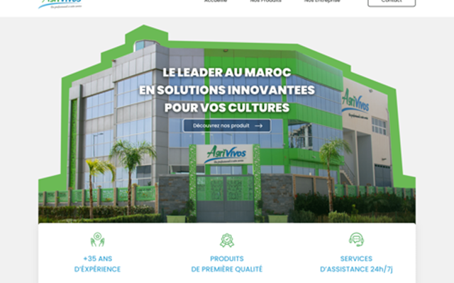VIRALWAVE Project - WEBSITEONTWIKKELING