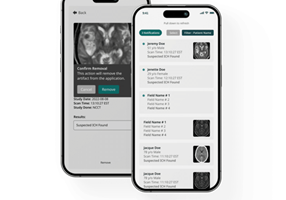 MentorMate Project -