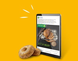Melters Werbeagentur GmbH Project - Sociale media