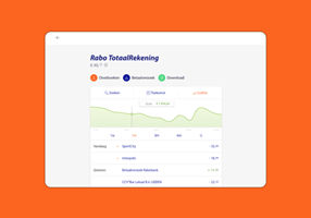 Do IT Big Project - Rabobank - V2 transactoverzicht