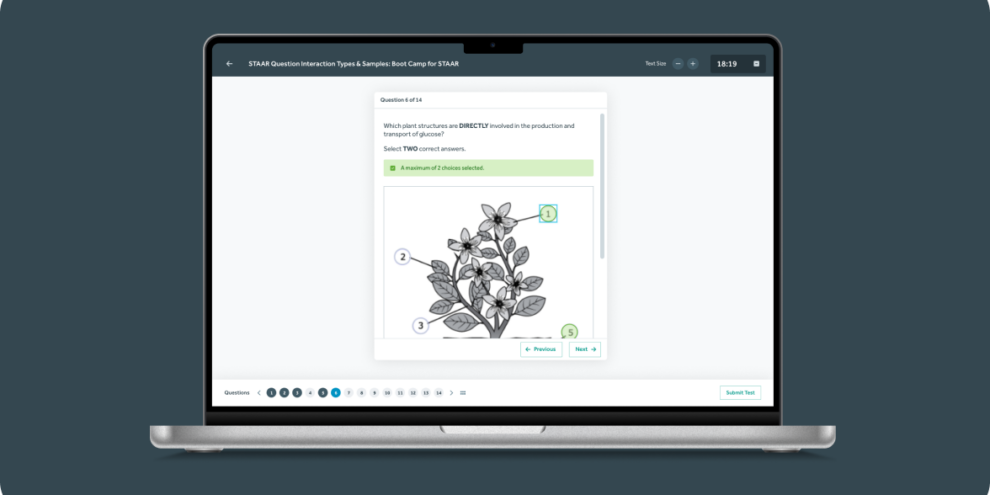 Bamboo Agile Project - QTI-speler voor tests
