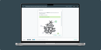 Bamboo Agile Project - QTI-speler voor tests