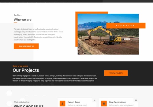 Creative Web Ethiopia Project - websiteontwikkeling en logo-ontwerp voor Nikotika