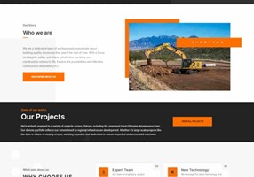 Creative Web Ethiopia Project - websiteontwikkeling en logo-ontwerp voor Nikotika