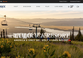 Apptimist Studio Project - Websiteontwikkeling voor Tamarack Ski Reosrt
