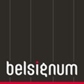 Belsignum Webagentur Logo
