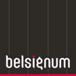 Belsignum Webagentur Logo