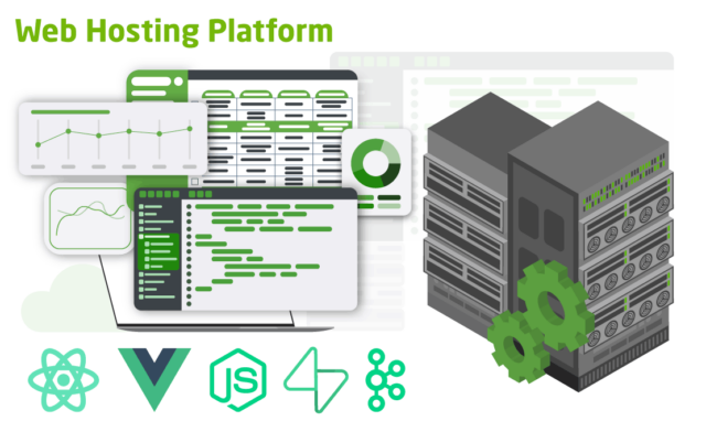 Chudovo OÜ Project - Ontwikkeling van hostingplatforms