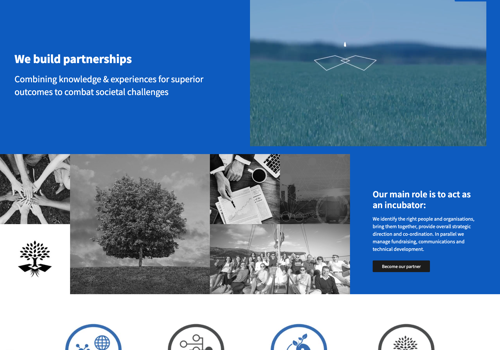 FYB Romania Project - The Synergist