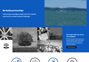FYB Romania Project - The Synergist