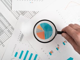 iseo Digitalagentur Project - SEO - Griffin Velox