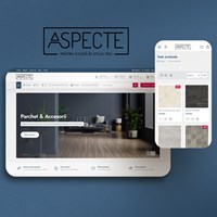 SC PRONET DESIGN SRL Project - Aspecte.ro