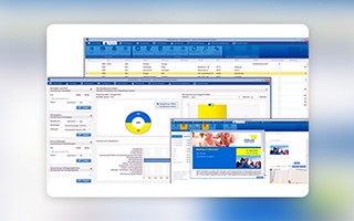 Chudovo OÜ Project - Ontwikkeling van politiek CRM