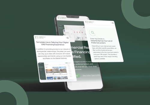 Modern Day Strategy Project - Digitale marketing voor Terrydale Capital (USA)