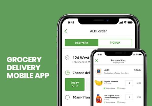 Turtle Factory Inc. Project - Mobiele app voor boodschappenbezorging
