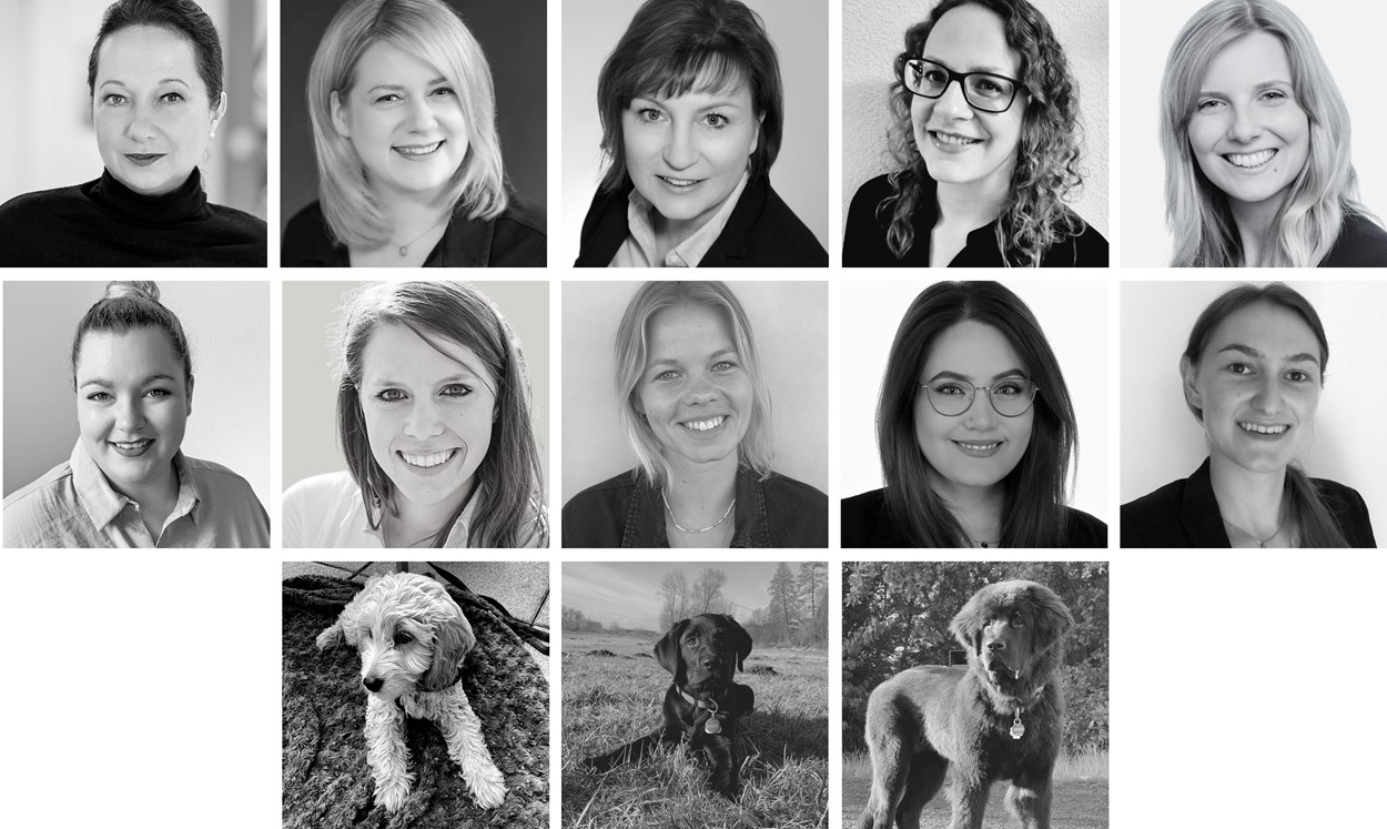 justZARGEScommunicate! Team