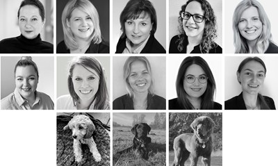 justZARGEScommunicate! Team