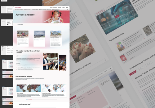 Adisseo: internationale website | STRAPI & Next.js