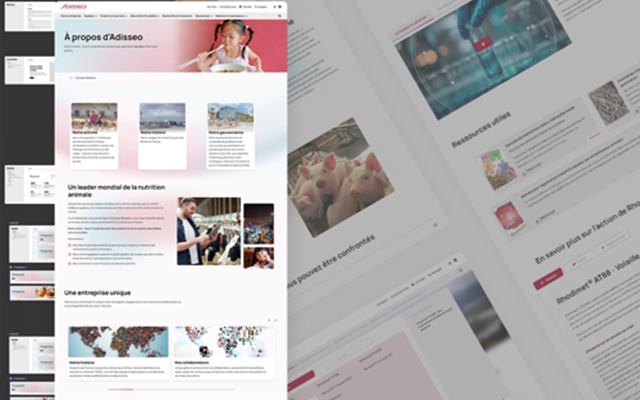 Smotly Project - Adisseo: internationale website | STRAPI & Next.js