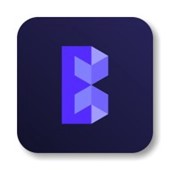 Blockchain Services Labs Logo