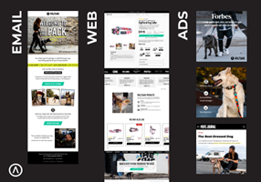 Algofy Project - Het optimaliseren van klanttrajecten: van advertenties tot de website