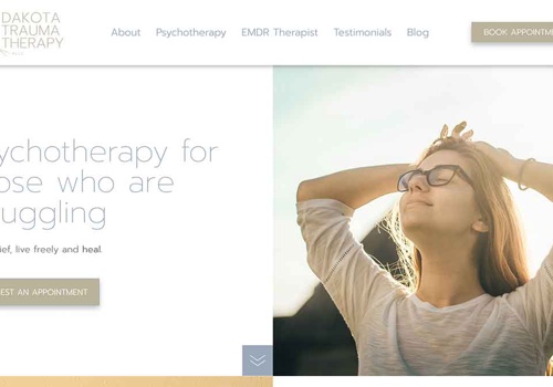 RapidWebLaunch Project - SEO voor een psychotherapiepraktijk in Bismarck