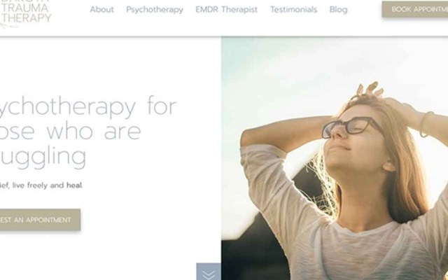 RapidWebLaunch Project - SEO voor een psychotherapiepraktijk in Bismarck