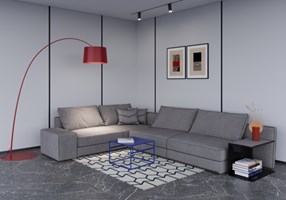 In Silico Project -