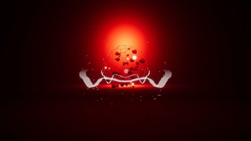 UFOMAMMOOT Project - IFA KI Entity Einstein