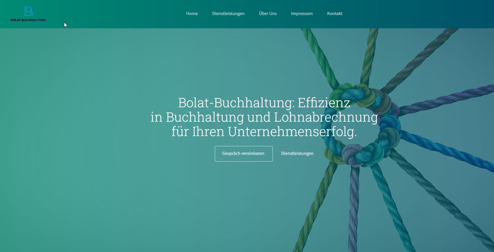 Buzzard-Webdesign Project - Start van de website