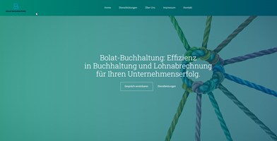 Buzzard-Webdesign Project - Start van de website