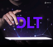 LimeChain Project - De ontwikkeling van hashport - Een nieuwe interoperabiliteitsoplossing voor Web 3 op basis van Hedera
