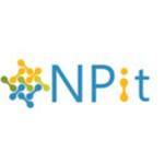 NPit Consulting & Service GmbH Logo