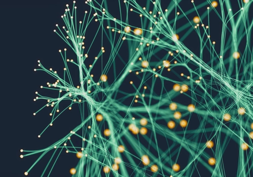 Divectors Project - Een datagedreven zorg-ecosysteem opbouwen