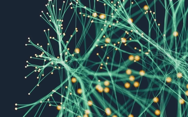 Divectors Project - Een datagedreven zorg-ecosysteem opbouwen
